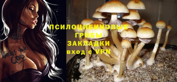 a pvp Балабаново